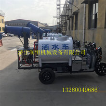 工程电动三轮喷雾洒水车绿化环保洒水雾炮车图片