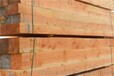 加拿大进口铁杉优质木方加工厂家直销常规规格可定制价格公正