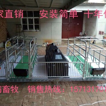 佳满畜牧养殖设备厂家母猪复合板产床保育床育肥床母猪定位栏