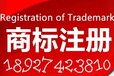 深圳哪里有注册商标的公司，在深圳注册商标上大信知识产权专业检索