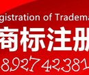 深圳哪里有注册商标的公司，在深圳注册商标上大信知识产权专业检索