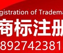 罗湖注册国外商标需要什么资料？注册国外商标在线咨询大信知识产权图片