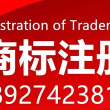 坪山商标注册公司电话，国内商标注册找大信知识产权专业检索