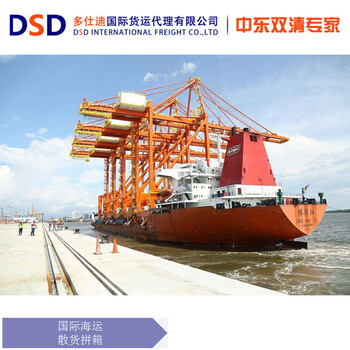 多仕迪广州服务优势中东物流海运整箱服务