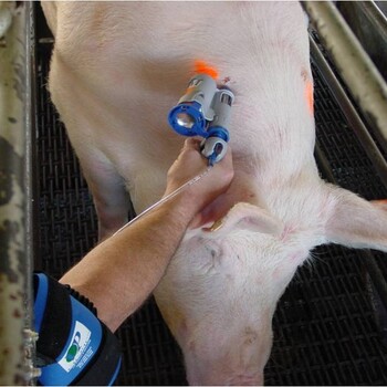 猪口蹄疫用自动标识型接管式连续注射器