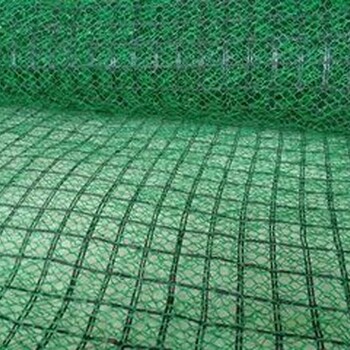 种草三维植被网护坡特点及施工方案-山东土工材料集团欢迎您