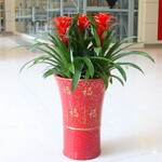 海珠区UP智谷附近专业植物租赁花木租摆花卉出售绿化公司