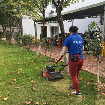 广州阳晨绿化工厂园区室外植物养护可驻点养护