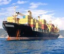亚马逊头程海运报关流程fba海运头程图片