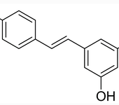 虎杖提取物白藜芦醇；植物提取；现货供应；厂家直销