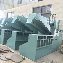 鱷魚(yú)式液壓剪斷機(jī)廠子圖片