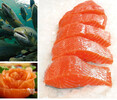 青島批發進口牛羊肉涮煮食材龍利魚火鍋魚安康魚價格