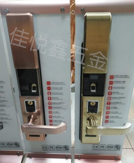 指纹密码锁北京指纹锁安保防盗门指纹锁优惠活动价格图片3