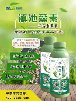 蔬菜番茄辣椒移栽蘸根生根劑預防苗期病害