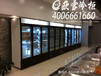 南京哪里有卖立式冷冻柜的一般多少钱一台