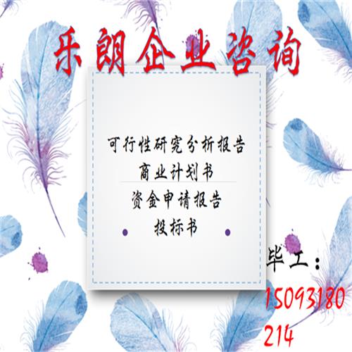 毕节项目计划书-代做（锅炉）项目计划书公司