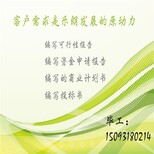 衢州写/做可行性报告的公司-报告格式图片5