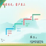 格式年产1000吨粉条项目可行性报告写图片5