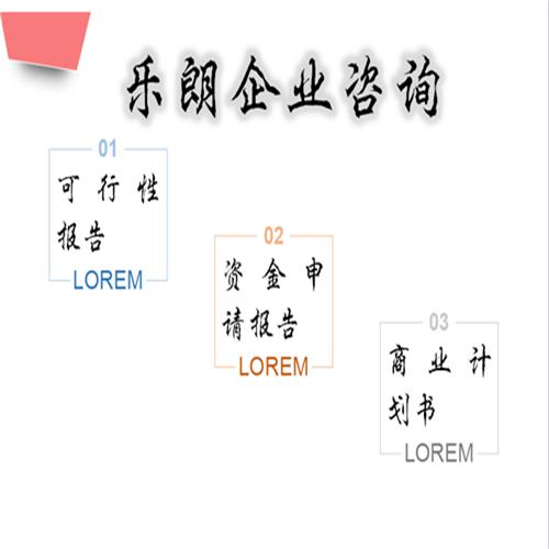 那曲代做可行性报告