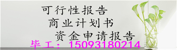 赣州公司写资金申请报告怎么写可行