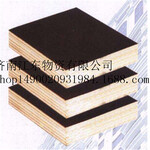 济南高档建筑模板木胶板、高档建筑模板