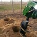 后置式挖坑机挖坑机视频旋转挖坑机螺旋挖坑机小型挖坑机