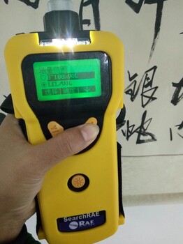 多种模式的可燃气浓度检测仪PGM-1600进口手持