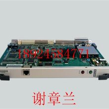 华为OptixOSN8800价格-OptixOSN8800报价图片