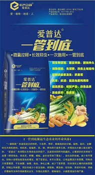地下害蟲(chóng)防治用什么藥好長(zhǎng)效藥肥地下害蟲(chóng)