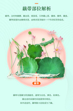广州泡藕带哪里有泡菜系列价格实惠图片