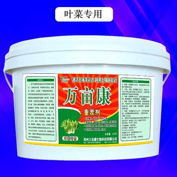蔬菜葉菜重茬爛根死棵僵苗產(chǎn)量低就用萬畝康重茬劑肥效好漲勢好見效快又能解決各種病害