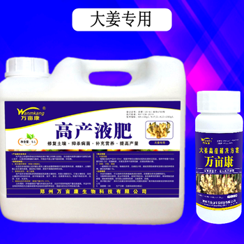 大姜重茬高產(chǎn)液肥劑解決施肥過量出現(xiàn)的大姜重茬爛脖子病卷葉僵黃苗鹽漬化
