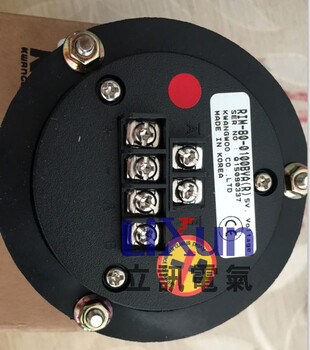 RIB-60-1024VLFRIB-60-1024VLF-ARIM-80-0100BVB编码器RIM-80-0100DVA