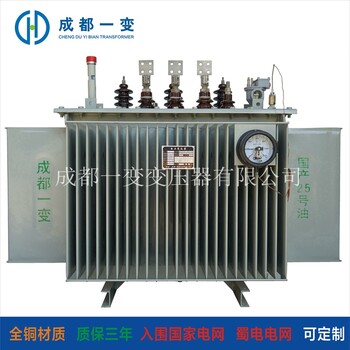 四川S11电力变压器10kV油浸式变压器生产油浸式变压器定制全铜变压器成都一变