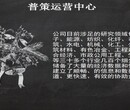 新丰县编制融资计划书公司-茶叶种植图片