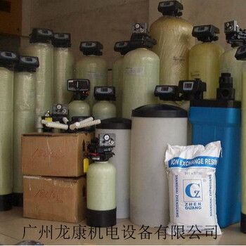 锅炉钠离子交换器去除水垢小型软化水设备家用水处理设备广州龙康厂家