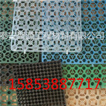 湘潭（塑料）排水板生产厂家#排水板厂家#新闻头条图片0