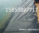 荆州防渗膜生产厂家#13mmpe膜#新闻头条图片