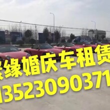 豪华商务车高端婚车高档轿车