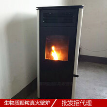 2017新型智能颗粒取暖炉生物质颗粒炉简洁生物颗粒风暖壁炉图片