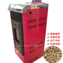 山东生物质颗粒暖风炉厂家批发生物质颗粒真火壁炉图片