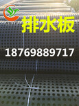 天津塑料排水板厂家图片2