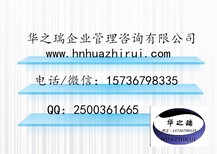 临洮县写可研公司报告代做可行性报告√海外投资可行性报告图片4