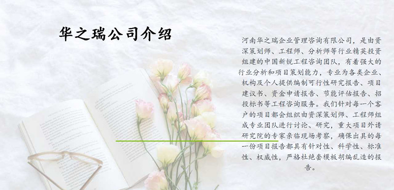 宝应县简易可行性报告范文多/写可行性报告项目广