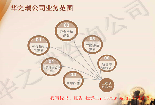 龙泉会写可行性报告龙泉/做可行性报告