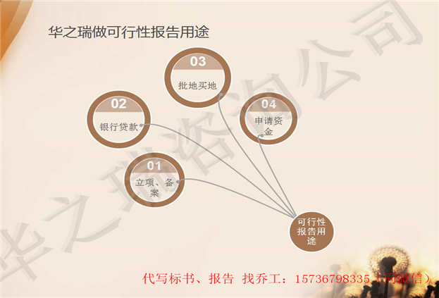 龙泉会写可行性报告龙泉/做可行性报告