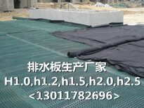 杭州护坡土工布厂家图片3