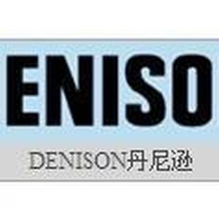 DENISON丹尼逊SDV系列叶片泵图片1