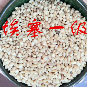 熟芝麻批发_熟芝麻批发品牌/图片/价格_熟芝麻批发批发_...