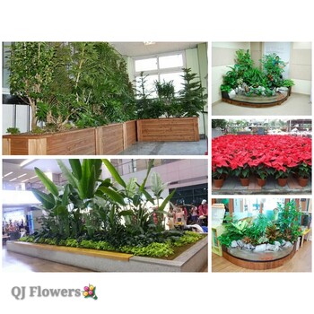 太原花卉綠植租賃租擺太原租花